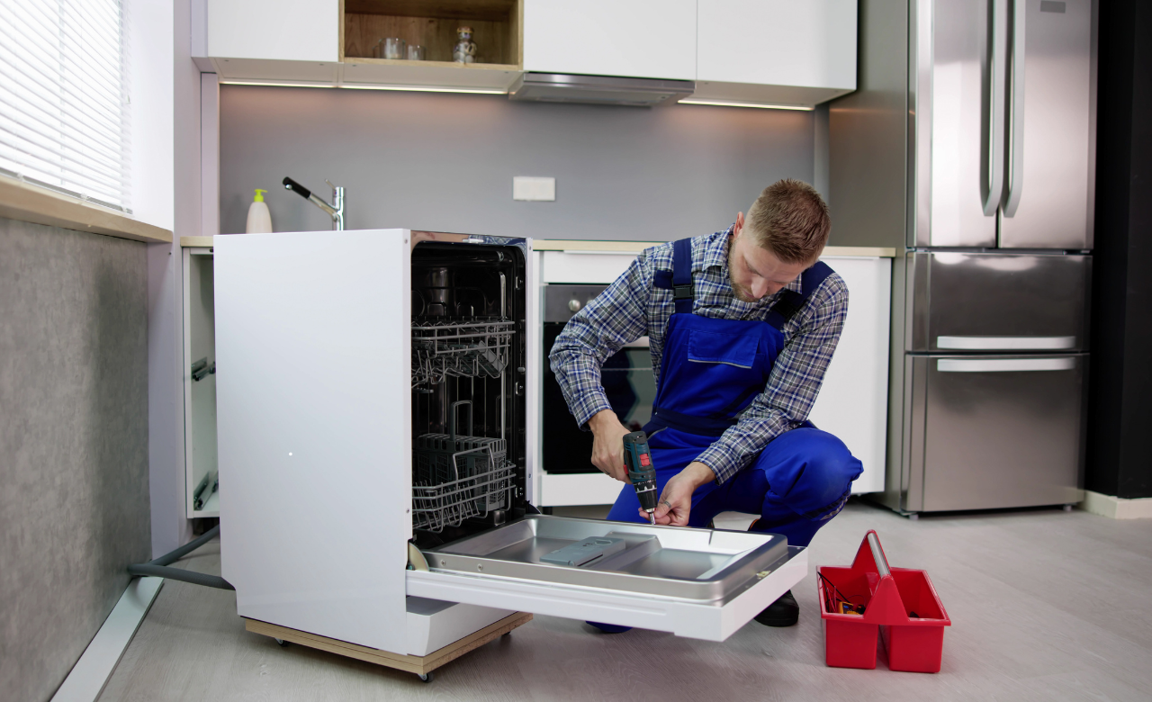 Professional Dishwasher Services